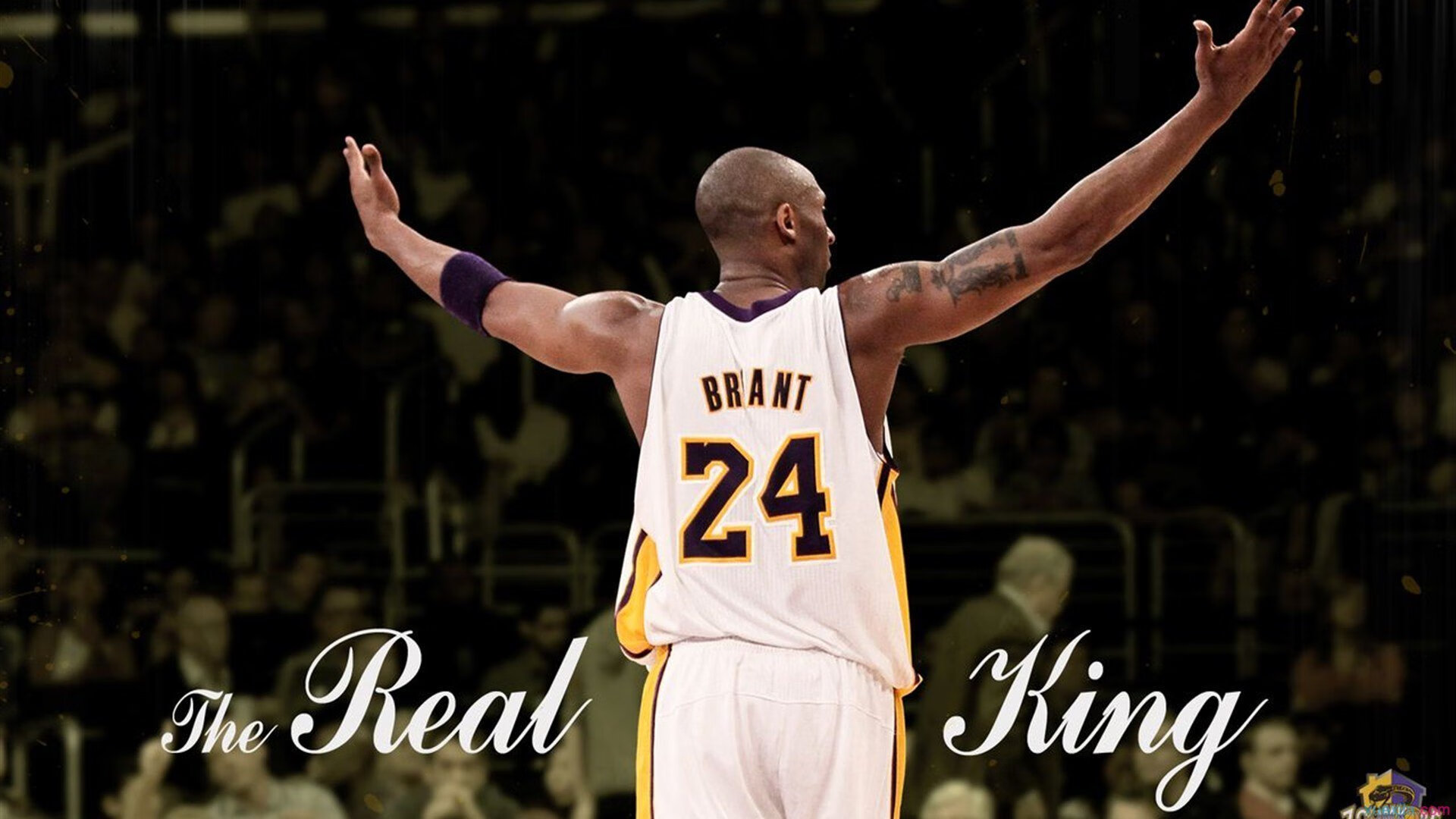 NBA联盟赛事安全风险评估与控制措施，nba赛事评估报告